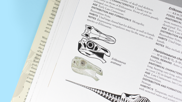 The Princeton Field Guide to Dinosaurs - Erlikosaurus andrewsi skull diagrams closeup.