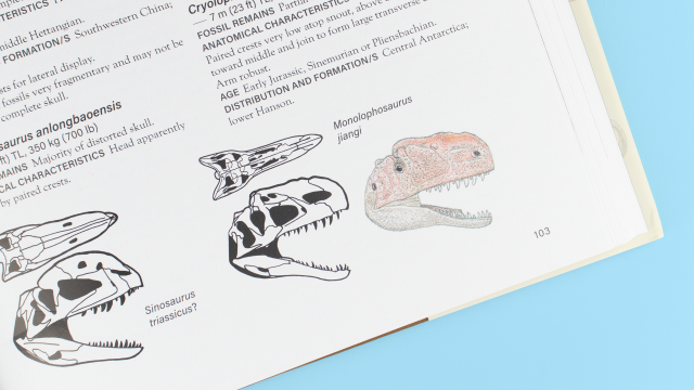 The Princeton Field Guide to Dinosaurs - Sinosaurus triassicus and Monophasaurus jiangi skull diagrams closeup.
