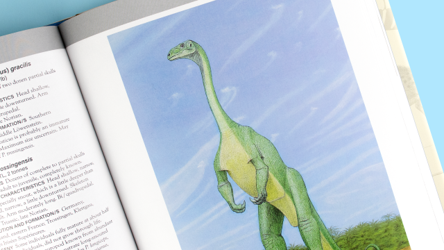 The Princeton Field Guide to Dinosaurs - green standing dinosaur illustration.