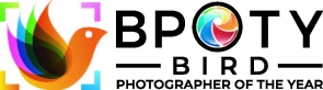 BPOTY logo a bird